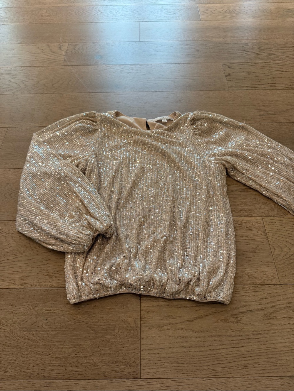 Sparkling Sequin Long Sleeve Top - Champagne